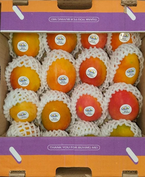 Mango de azúcar - Imagen 4
