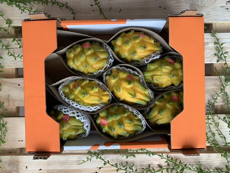 Pitahaya - Imagen 2