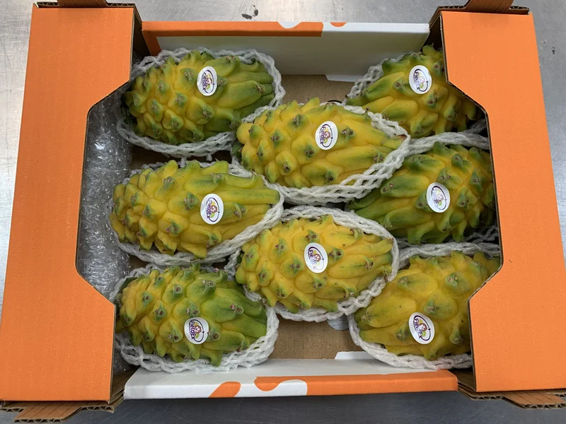 Pitahaya - Imagen 3