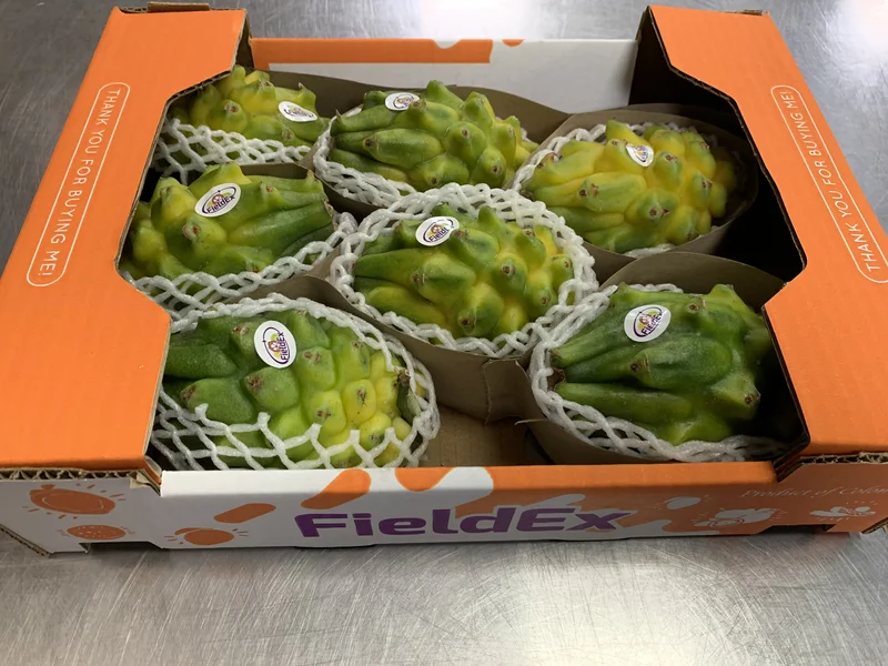 Pitahaya - Imagen 4