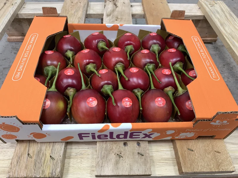 Tamarillo - Imagen 3