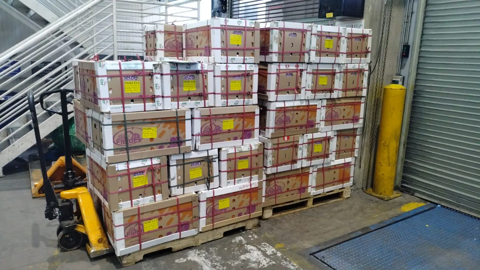 Productores aliados