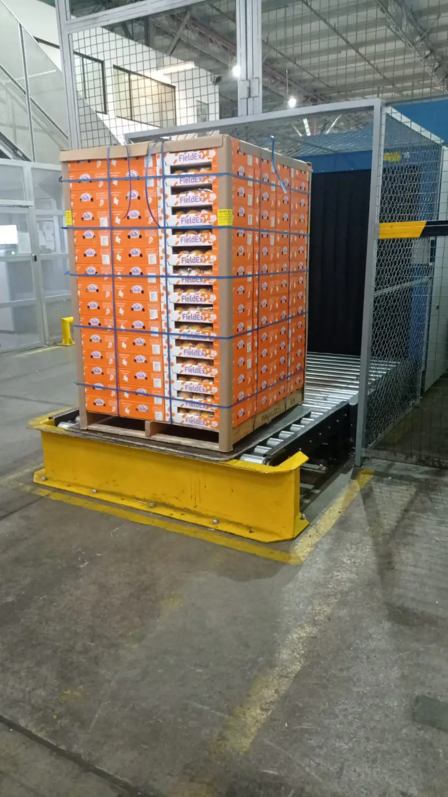 Logística refrigerada