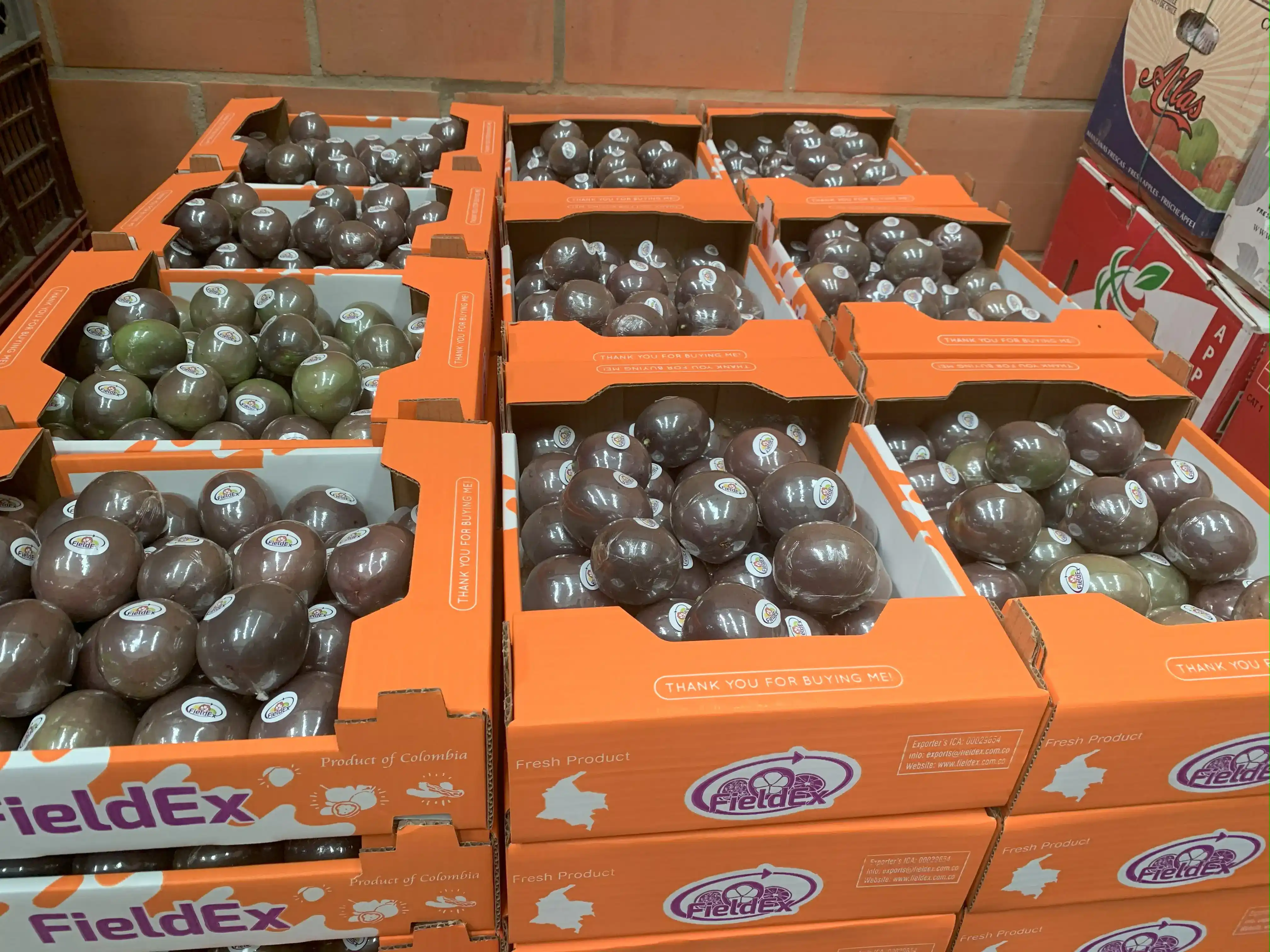 Desarrollo sostenible